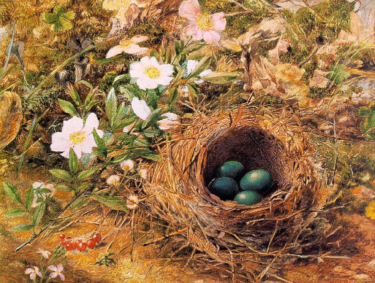 Bird's Nest and Dogroses, Hill, John William